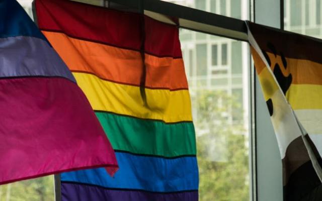 Pride flags against a window